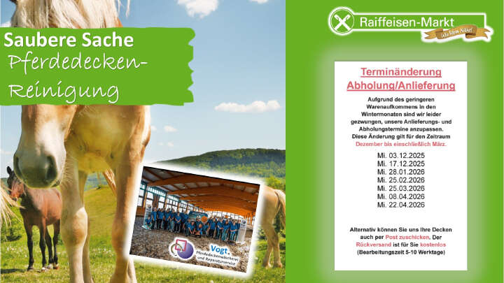 VOGT Decken 1HJ 2025